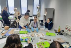 Warsztaty osteologiczne podczas II Studenckiej Konferencji Biologii Człowieka